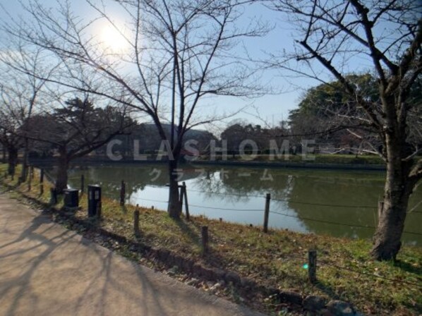 ビライチカワ・寺横の物件内観写真